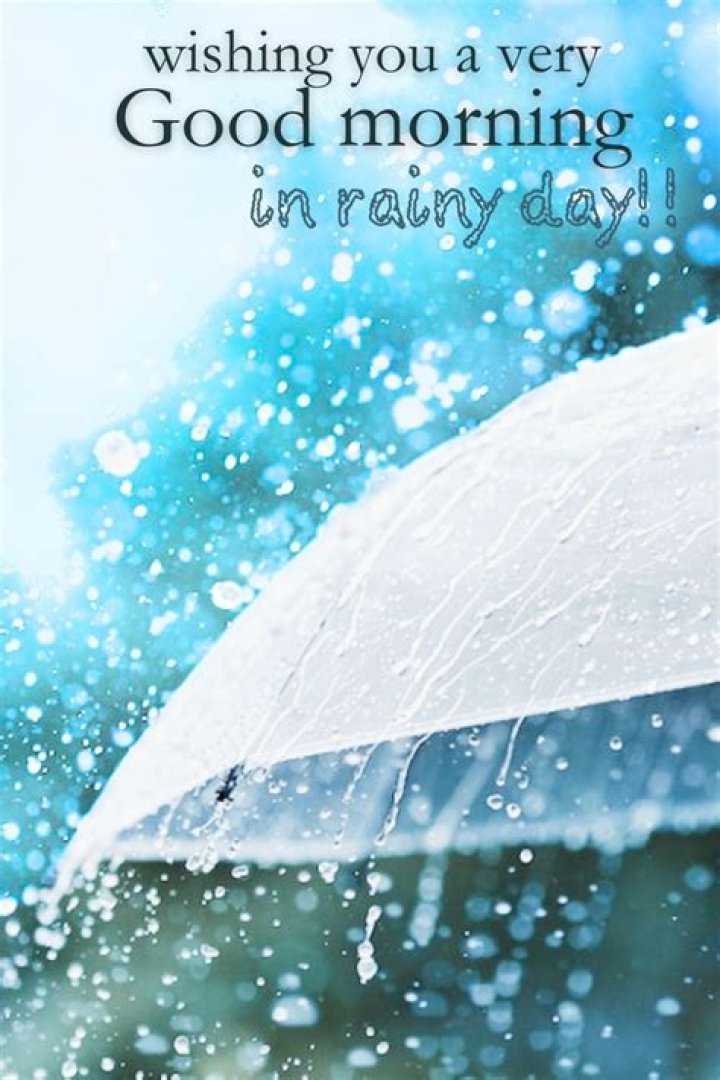 A Rainy Good Morning: Embracing The Beauty Of Raindrops
