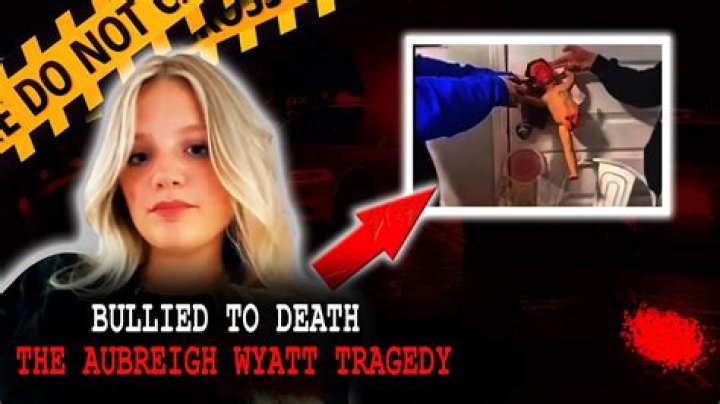 A Tragic Story: The Case Of Aubreigh Wyatt And Her Untimely Death