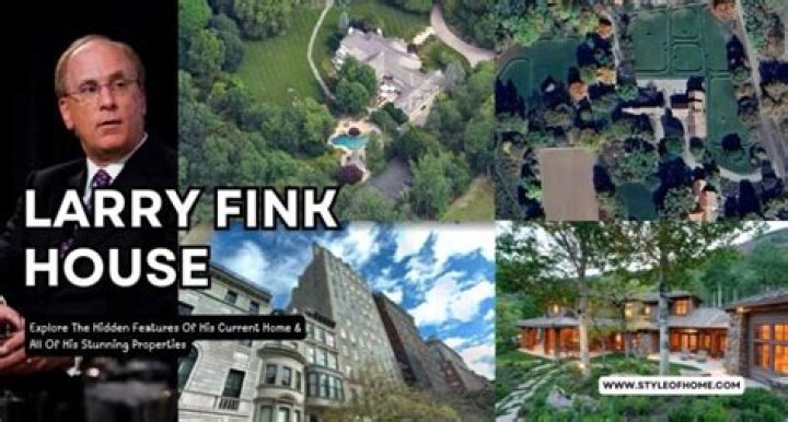 Exploring The Life And Residence Of Larry Fink