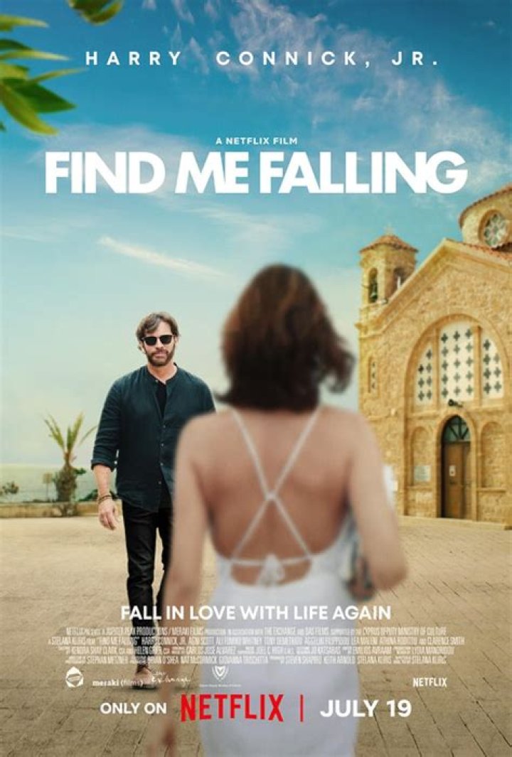Exploring The Talented Cast Of Find Me Falling