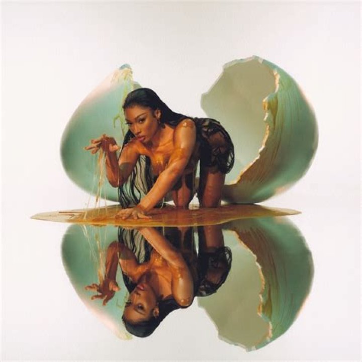 Megan Thee Stallion: A Deep Dive Into Her Net Worth In 2023