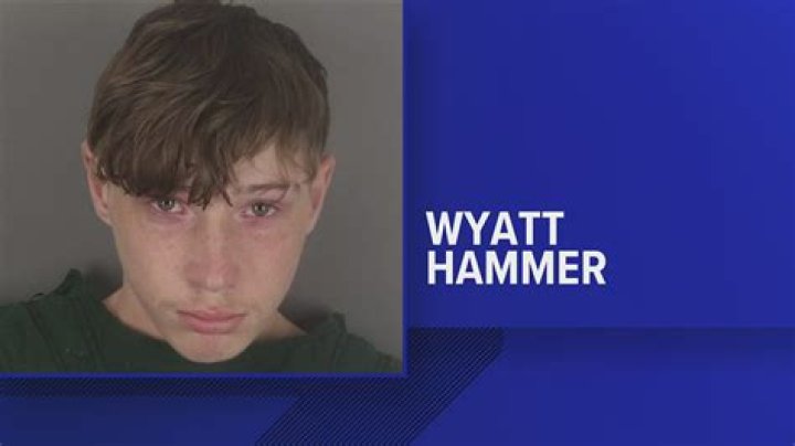Unraveling The Mystery: Was Aubrey Wyatt Sexually Assaulted?