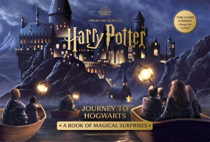 Unveiling The Charismatic Journey Of Harry Con Jr.