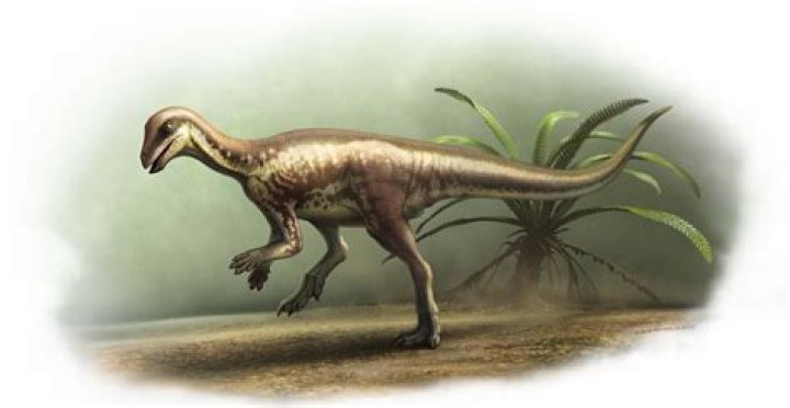 Unveiling The Enigma: Molly Nobbilt