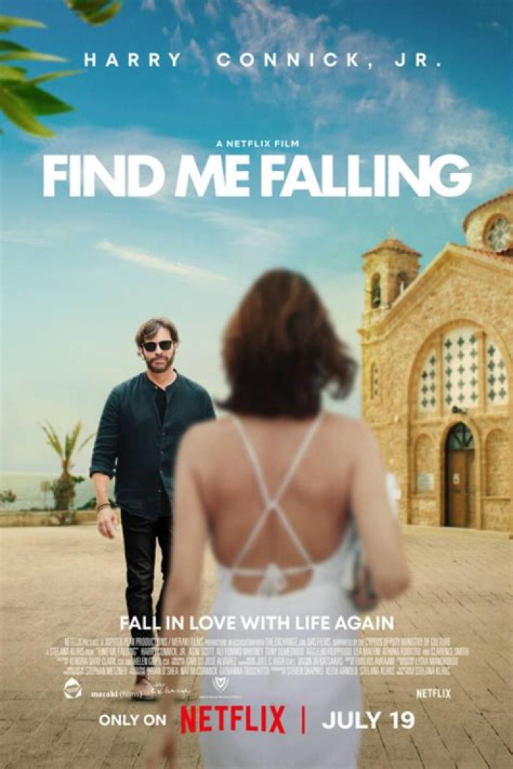 Unveiling The Truth: A Deep Dive Into Find Me Falling Reviews